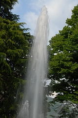 Day12 (278)